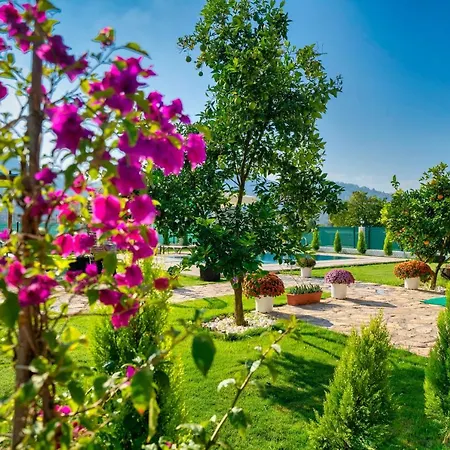 Villa Sarıkavak Luxury Fethiye