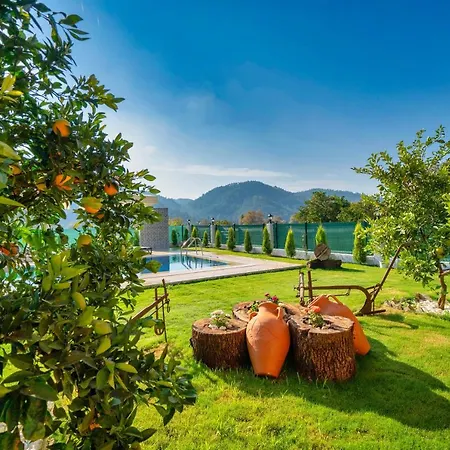 Villa Sarıkavak Luxury